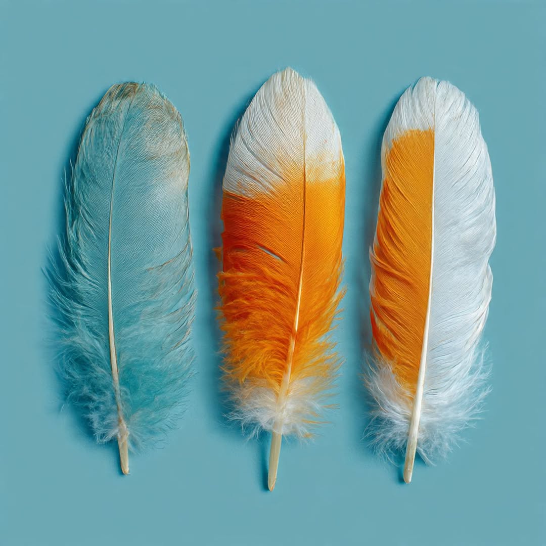 Feather color inspiration
